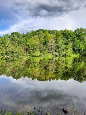 McNeely Lake Park