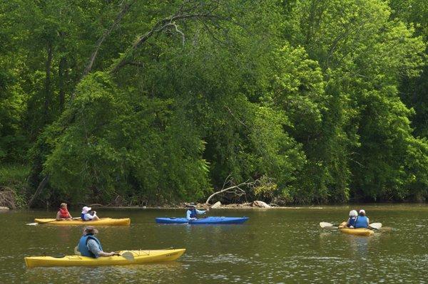 Come canoe, kayak or tube with us on beautiful SUGAR CREEK!