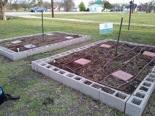 Drip Irrigation in raised beds