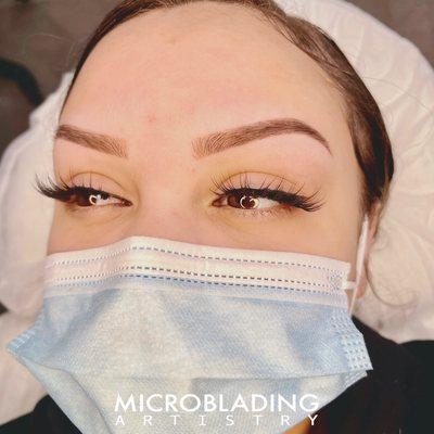 Healed Soft Powder Brows