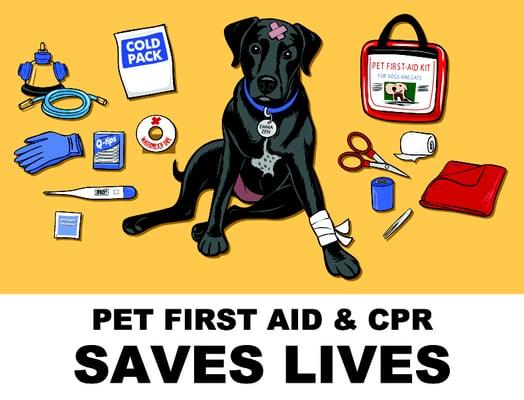 Doggie and Me Pet First Aid & CPR