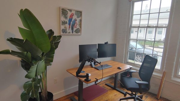 The Tropics Room in Envision's new headquarters