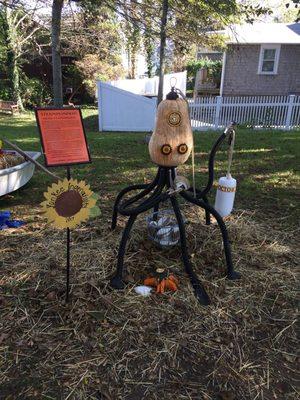 Pumpkin People 2017