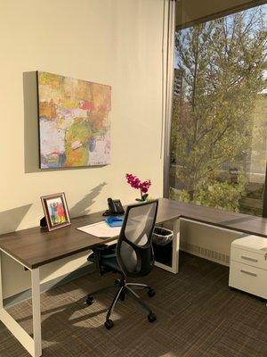 Private office space in Boise