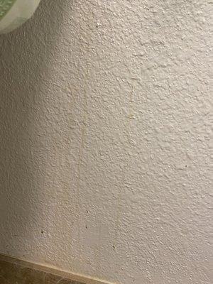 Wall in bathroom