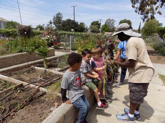 Kids getting the low-down and dirty on growing vegies in the Garden for Earth Day