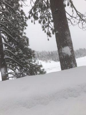 Frozen shaver lake