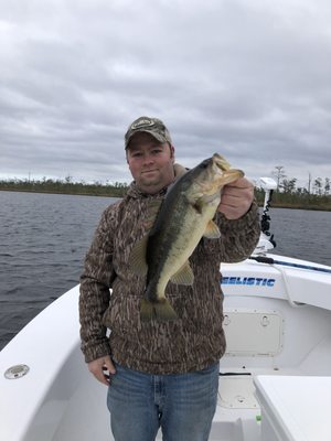 Some solid largemouth bass