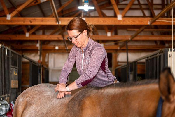 Iron Horse Equine