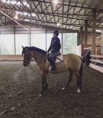 Danika, assistant trainer, taking a lesson with finesse on a cold day.