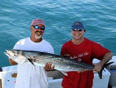 Big King mackerel on 12lb spinning tackle