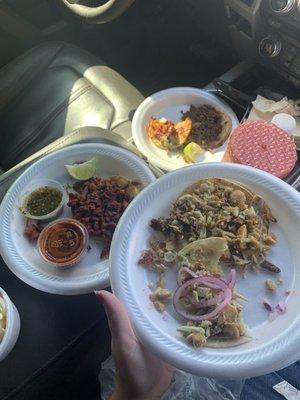 Tacos de asada, pollo, y al pastor