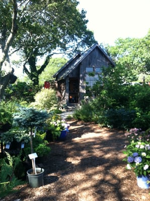 retail store and front gardens