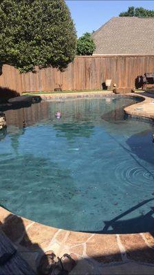 After new tile, plaster and LSU glass symbol in bottom of pool