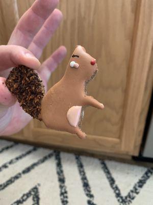 Squirrel Cookie!