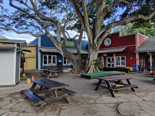 Picnic tables and benches are convenient