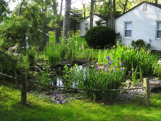 pond and waterfall