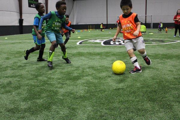 Plenty of grass in the indoor facility to let the kids run around and play.