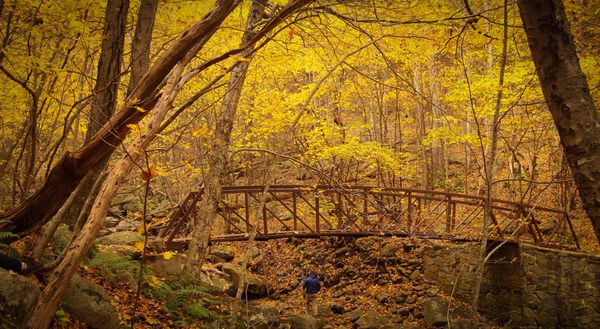 Bridge over a small creek at Shenandoah National Park