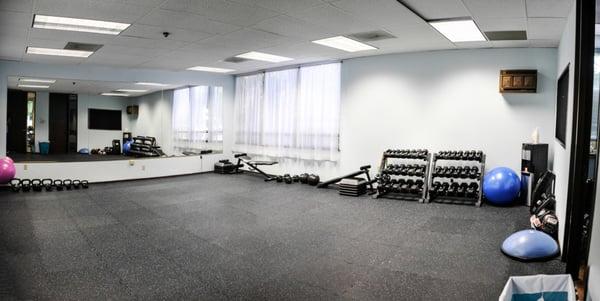 Free weights, kettlebells, dumbbells, barbells, trx system, etc... Everything a gym needs!