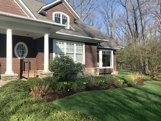 Fresh mulch brightens up spring flowers