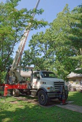 Omni Tree Service, Inc.