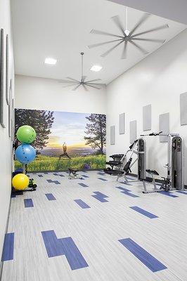 Newly Renovated Fitness Center