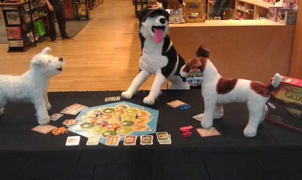 Plush dogs playing Settlers of Catan in the window.