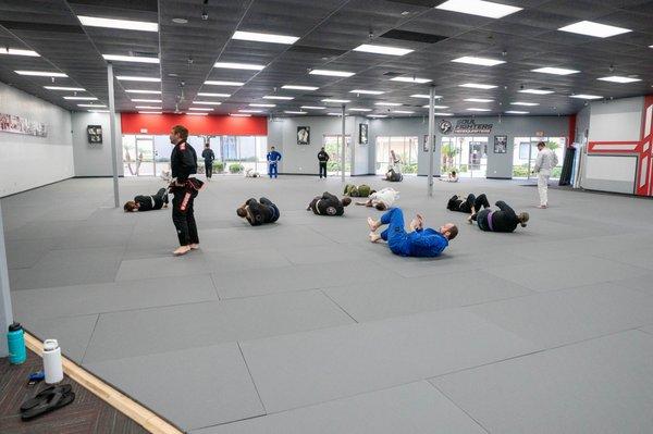 Huge Main Mat Area.