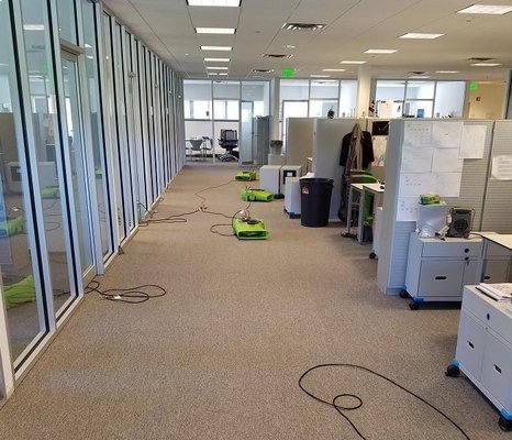 SERVPRO of Levittown, Bethpage is ready to respond immediately and work quickly to clean or restore your business.  #Commercialcleanup