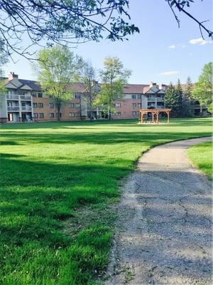 The backyard of my apartments. Mika likes to romp around on her long leash back here.