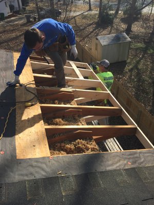 Broken rafter tales from a tree that fell on the house