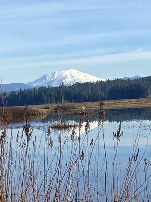 Beautiful Mount Saint Helens from the boardwalk