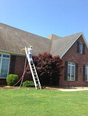 Softwashing an asphalt shingle roof to get rid of black stains