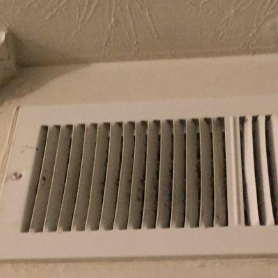 Mold in vents