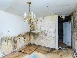 Mold Remediation