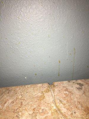 Weird wet stain/substance on the wall near tv