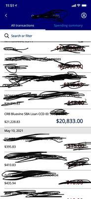 Bank statement showing the fraudulent deposit