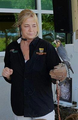 I had never been this close to a peregrine falcon, and was amazed when I saw the bird's eyes scoping out the crowd