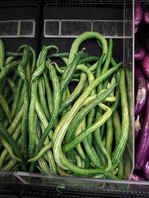 Snake gourd