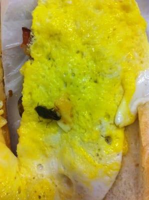 I found this roach in my bacon, egg and cheese sandwich I purchased from them.