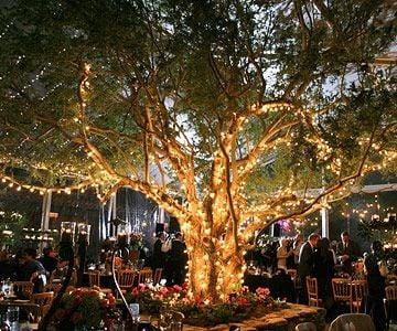 Event Lights, Tree Lights, Mini Lights