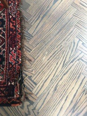 Bild Wood Floor