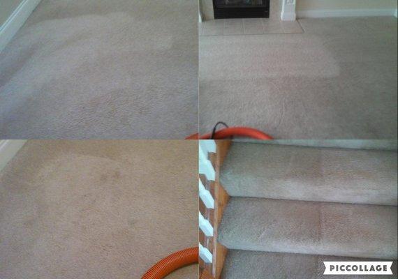 These carpets were cleaned 2 days prior by your local discount company (5 rms for $99) find them here on yelp. We re-cleaned. pic speaks...