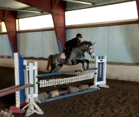 We offer riding lessons to all ages and levels!