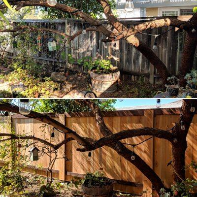 Before and after! What a difference a 6 ft fence makes. FINALLY true privacy