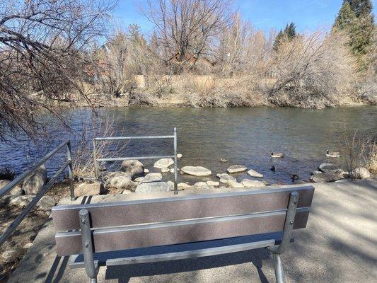 Bench next to the Truckee River.