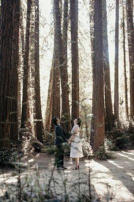 Bride and groom in forest