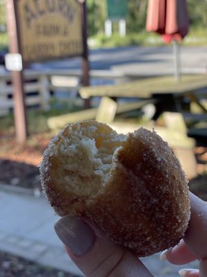 8+ yrs and still my favorite apple cider donut