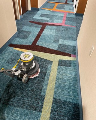 Healthy Green Carpet Cleaning